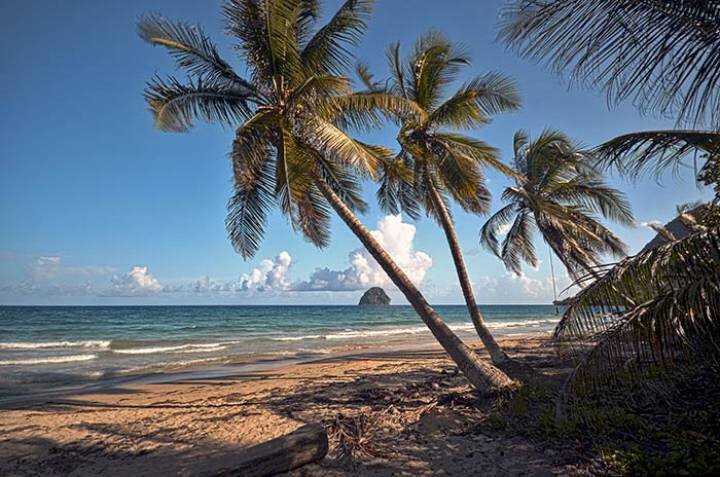 diamant martinique en amoureux