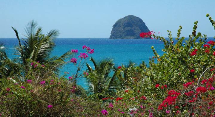 diamant martinique en amoureux