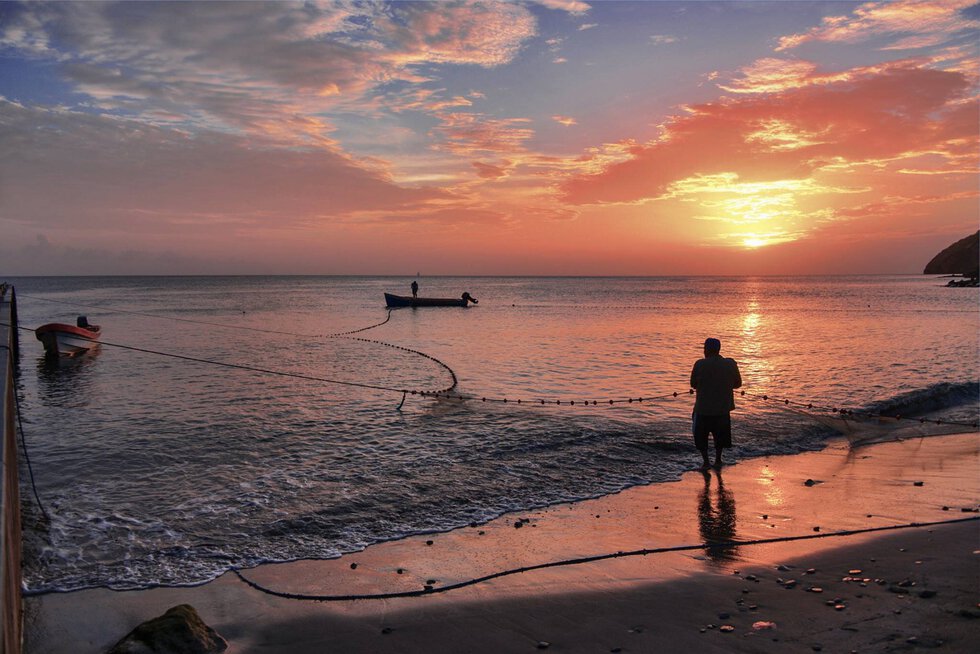 quand partir martinique