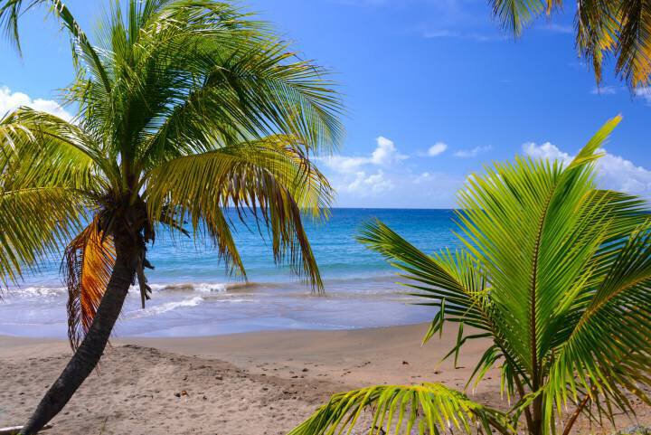 anses d'arlet martinique enfants