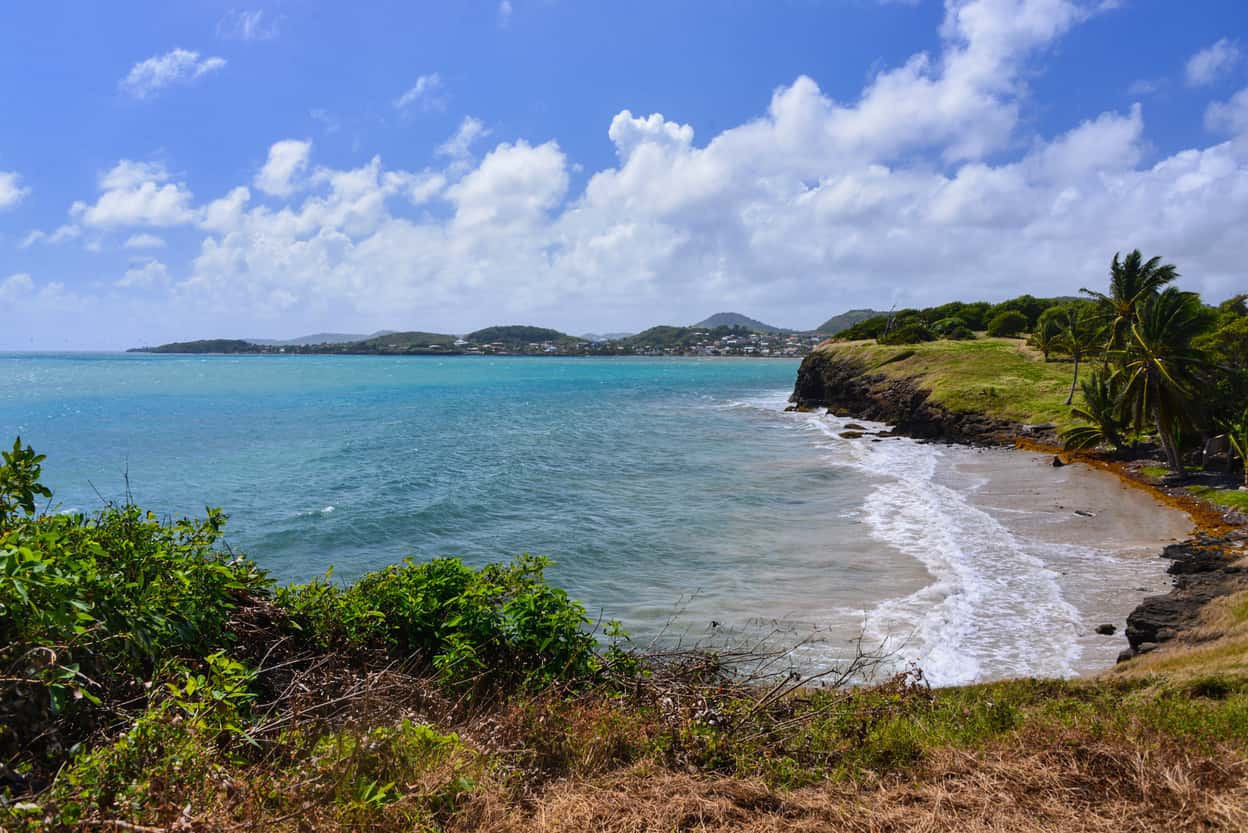 palmiers-campagne-1j-location-villa-de-luxe-martinique-le-vauclin
