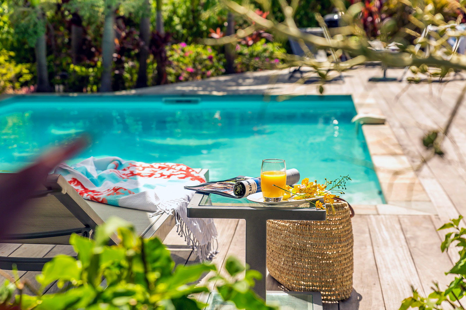 Palmiers Campagne 3B rental Martinique luxury villa le Vauclin pool - 