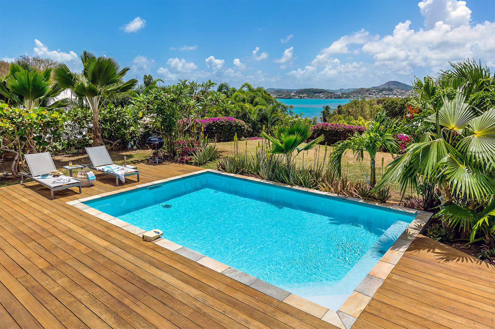 Palmiers Vue Mer et Campagne 4R location villa de luxe Martinique le