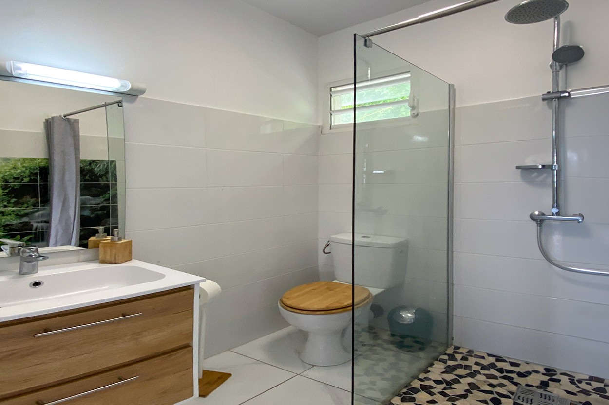 Little house le François Martinique rental swimming pool sea view 2