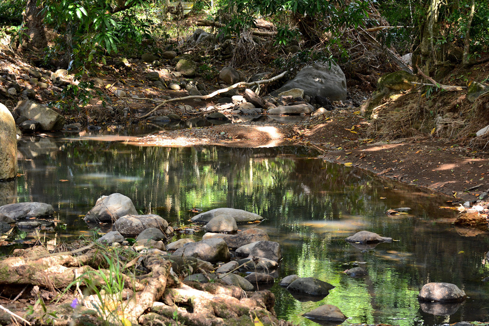 PETITE RIVIERE location villa piscine dans le sud de la Martinique
