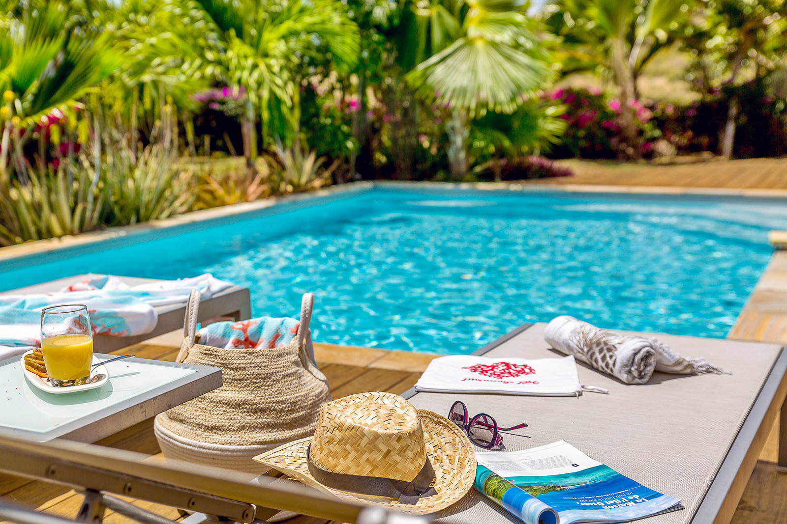 Palmiers Mer et Campagne 6Q villa de luxe le Vauclin piscine vue mer - 