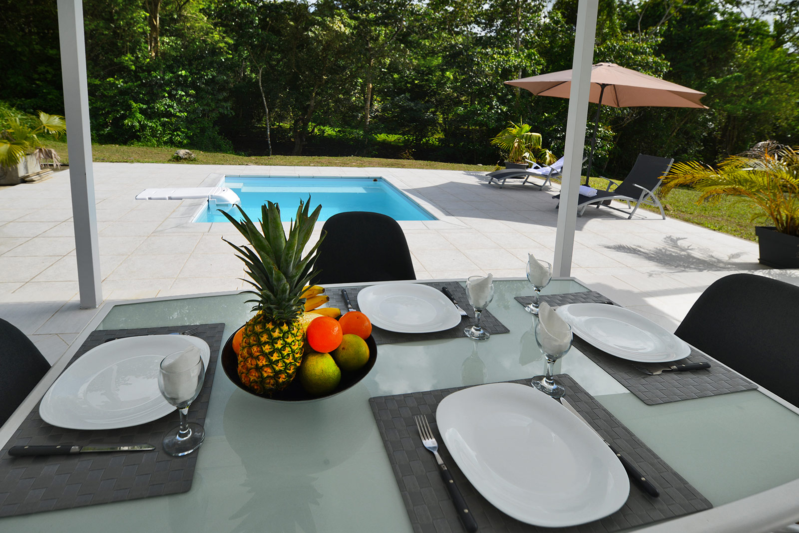PETITE RIVIERE location villa piscine dans le sud de la Martinique