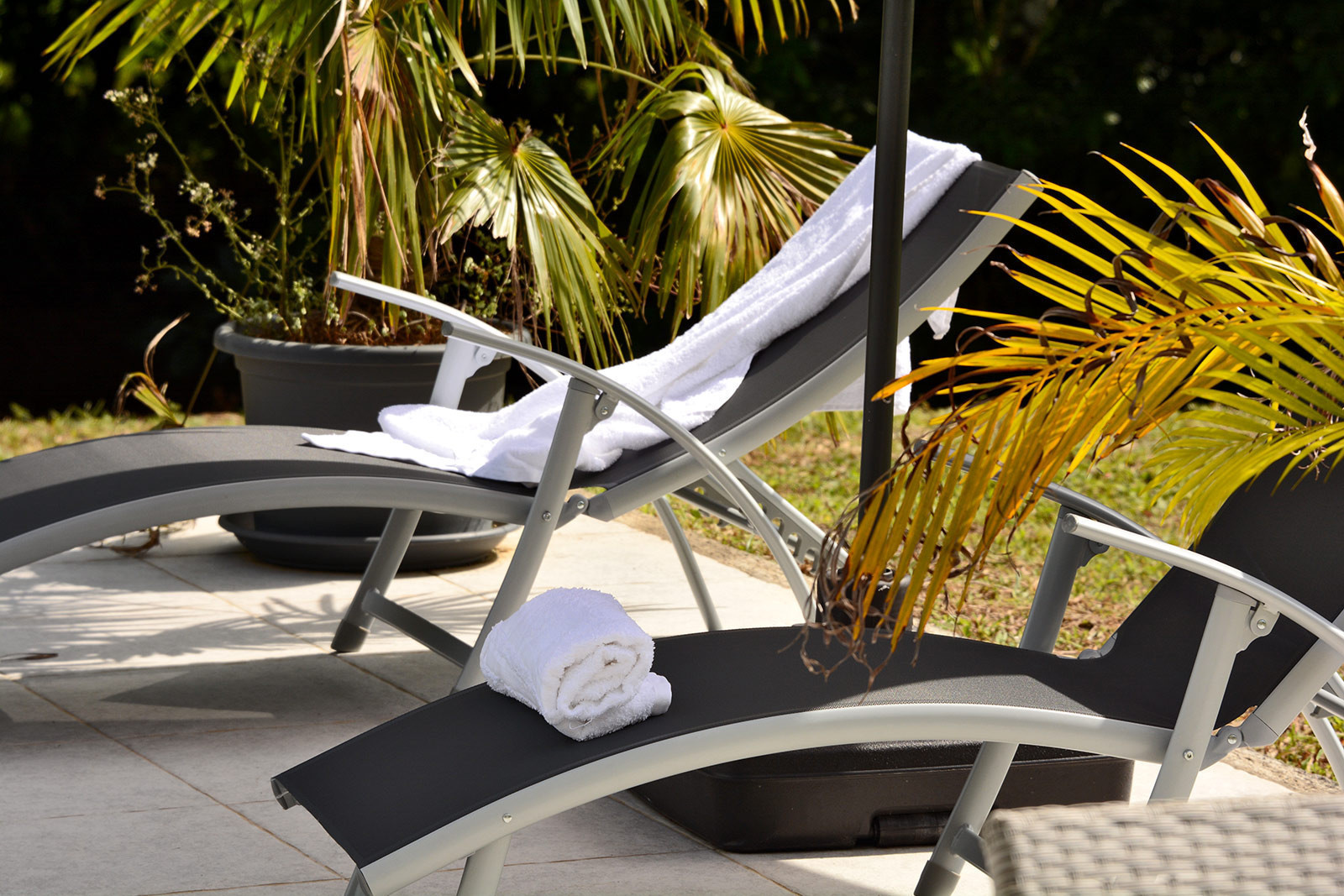 PETITE RIVIERE location villa piscine dans le sud de la Martinique