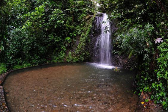 Fonds-Saint-Denis - Fond saint denis