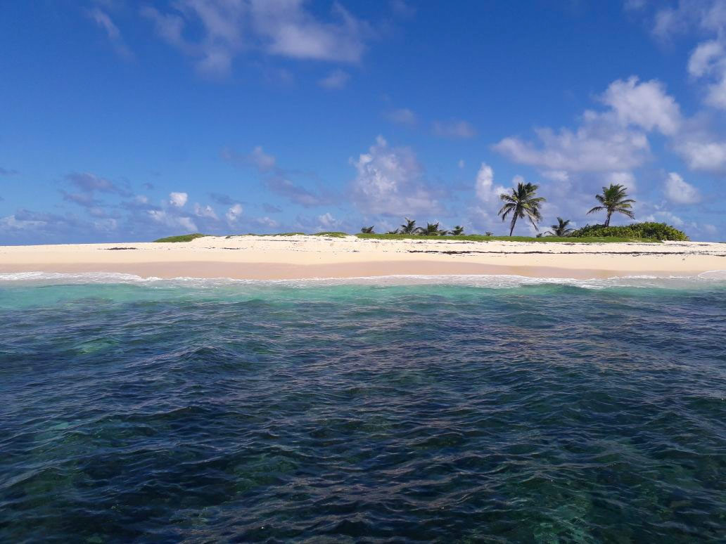 Le Robert - Ilet loup garou