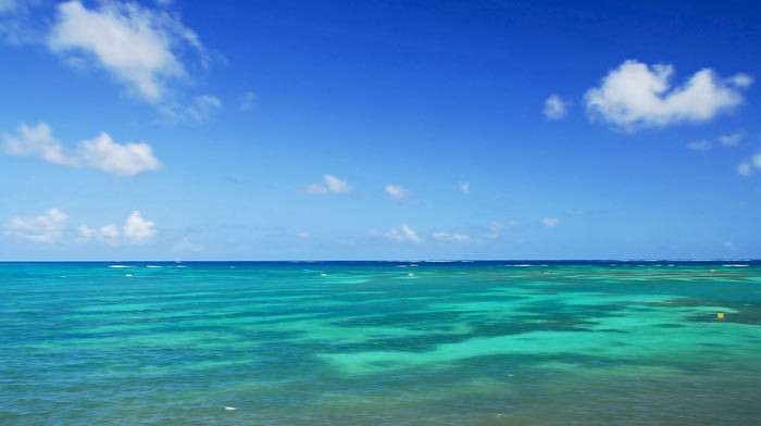 Le Vauclin - Les eaux Turquoise de la côte Atlantique, la Pointe Faula