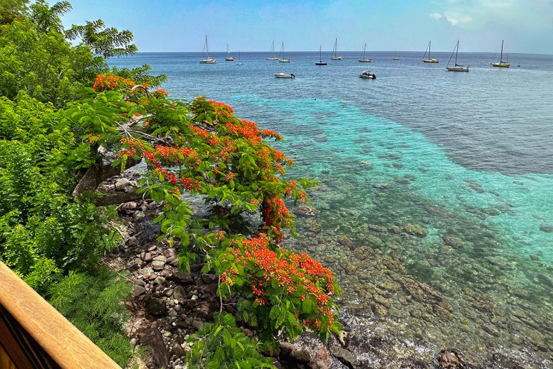 Flamboyanr Appartement luxe aux Anse d'Arlet