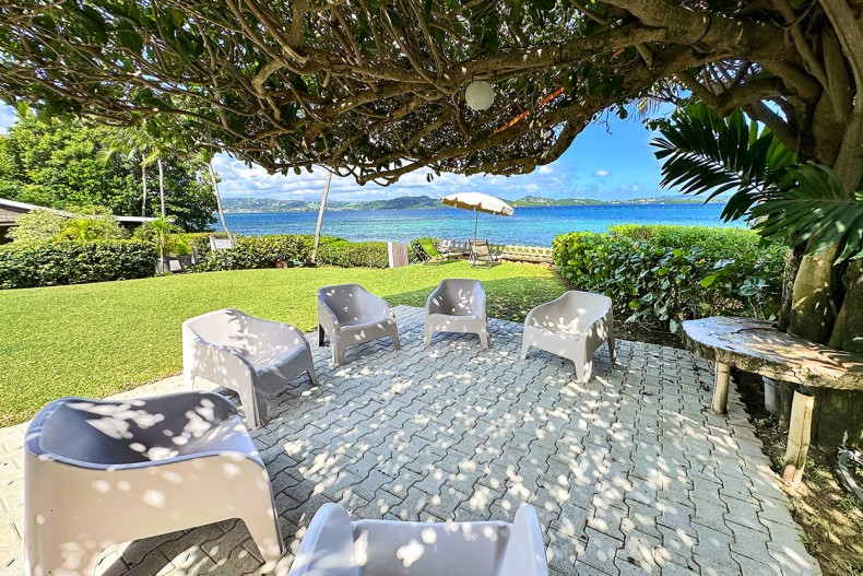 A l'ombre de l'arbre parasol