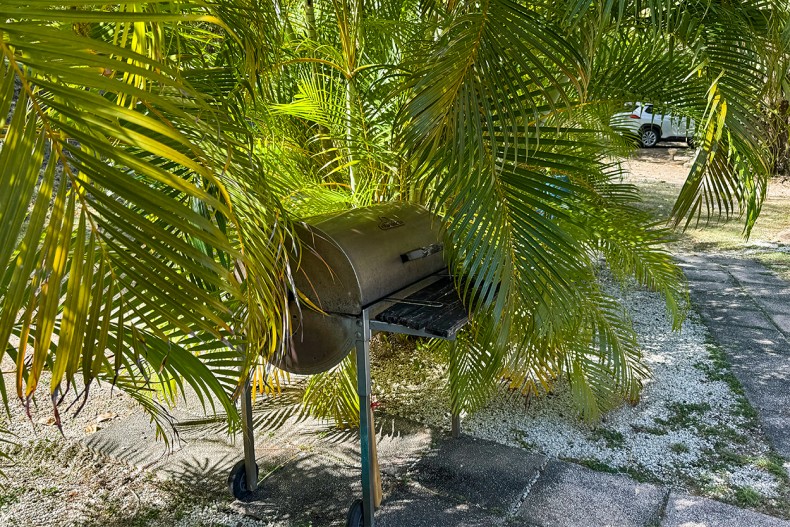 Barbecue bleu nature