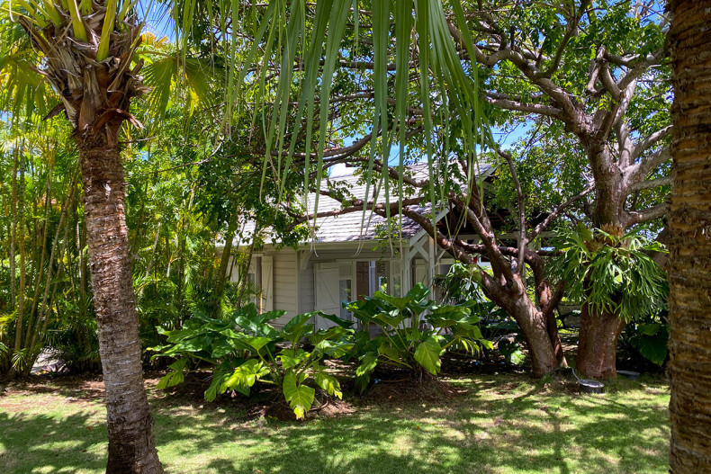 Cottage Cap Est Martinique nid douillet