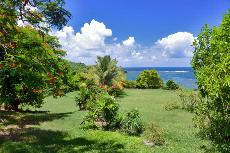 Le jardin avec la vue sur mer magnifique