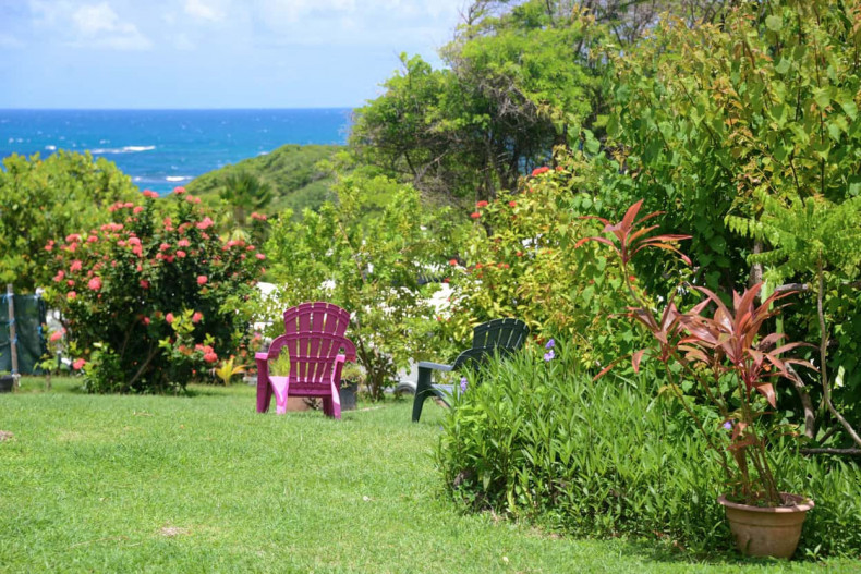 La vue de la cabane sur le jardin
