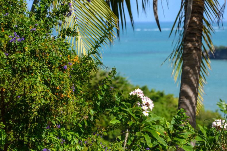 Case de Cassandre Vue Nature