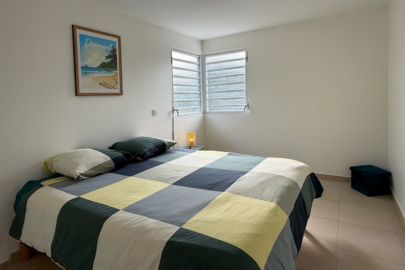 F3 Cocotier Bleu Location le Diamant