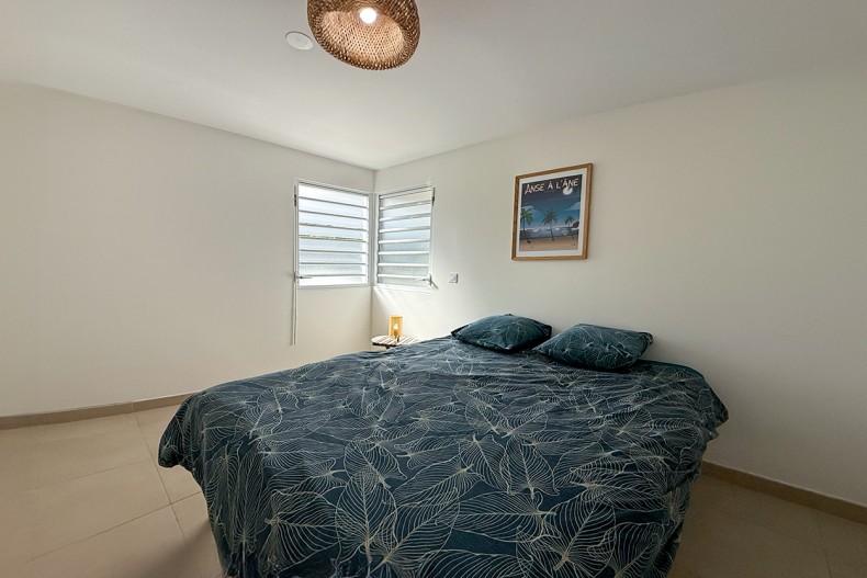 F3 Cocotier Bleu Location le Diamant