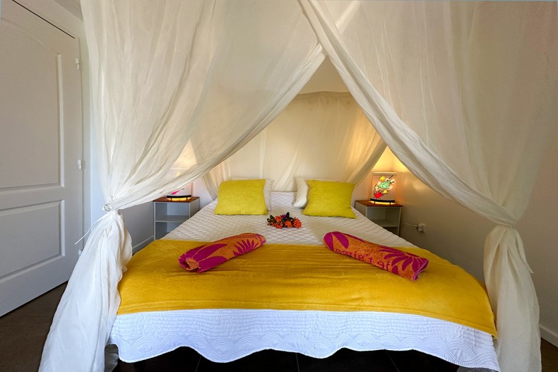 Coquillage anse d'arlet