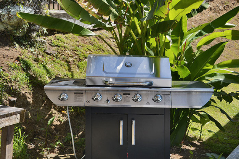 Fleur de Coton barbecue