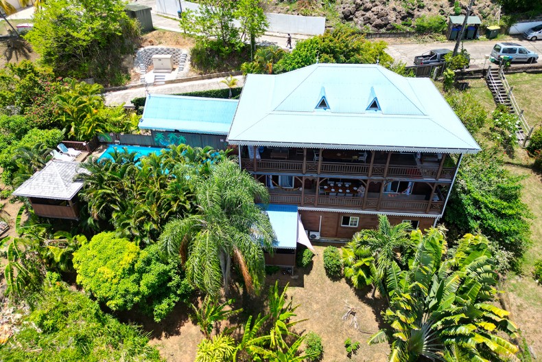 Grand  petit Bresil Tartane drone