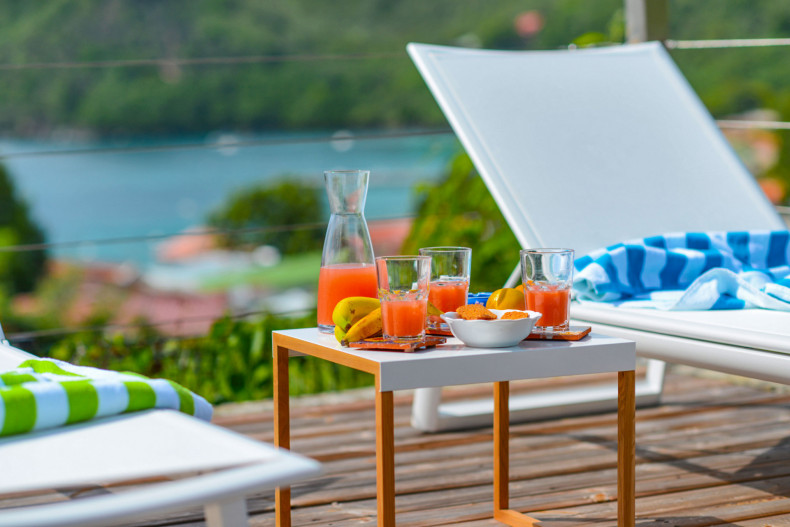 Location villa Anses d'Arlet piscine vue mer