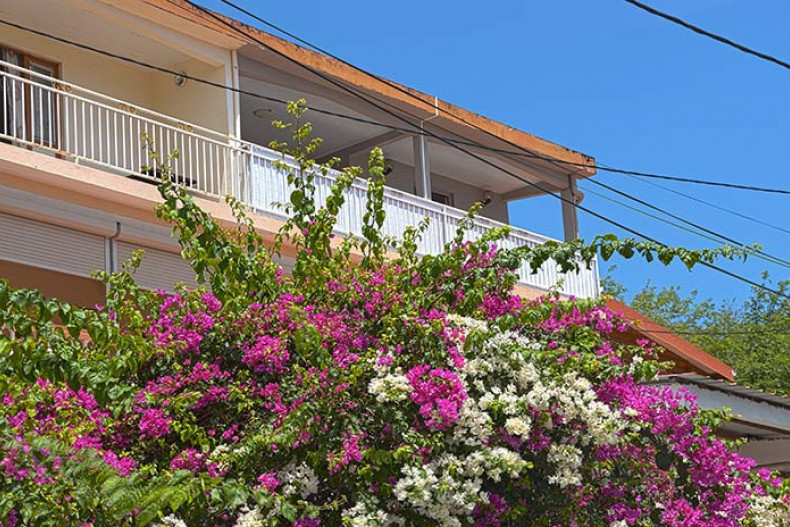 Location Kaï petite anse d'arlet martiique