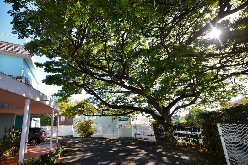 Location appartement Zamana T3 fort de france