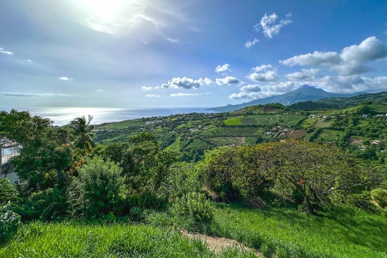 Vue Mer et Montagne Pelée