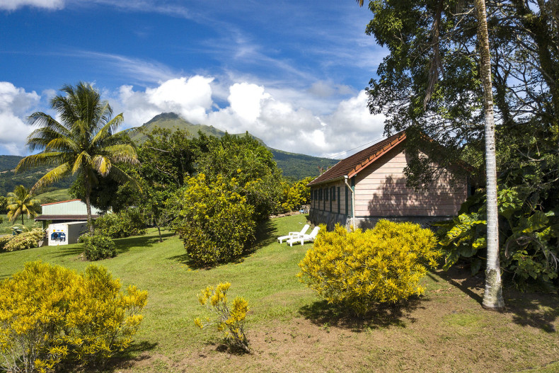 La case à Lucie au pied de la montagne Pelée