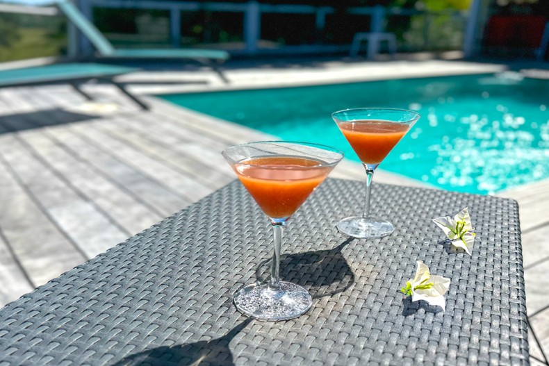 Petit Bungalow le François apéro