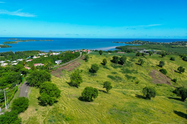 Petit Bungalow le François vue