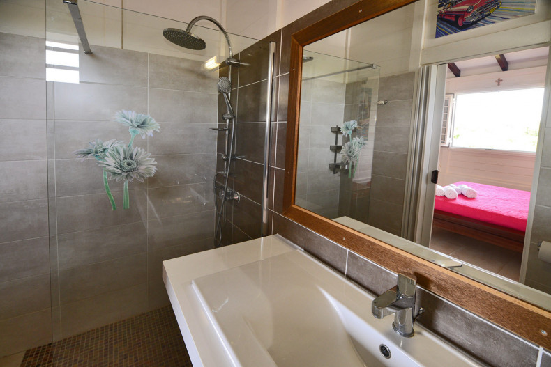 Salle d'eau : douche à l'italienne, lavabo, WC