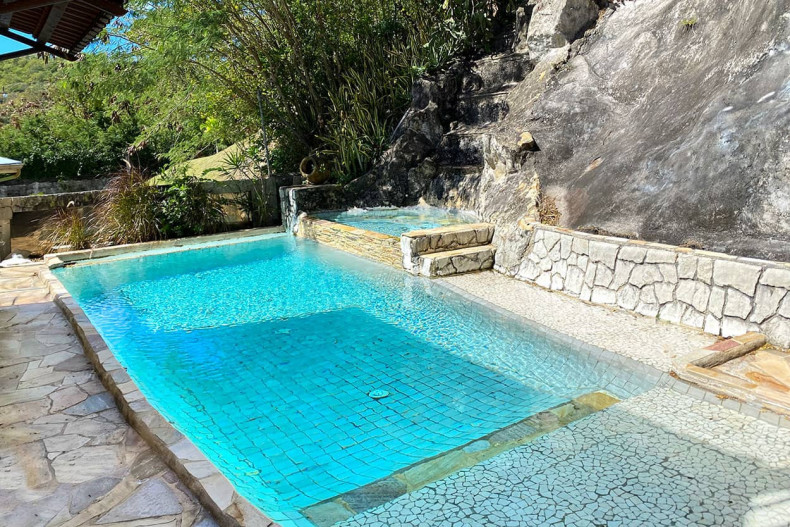 Piscine---refuge-des-oiseaux