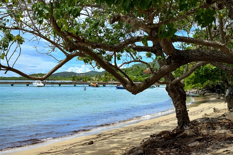 La plage de Fond Basile et le ponton de Tartane