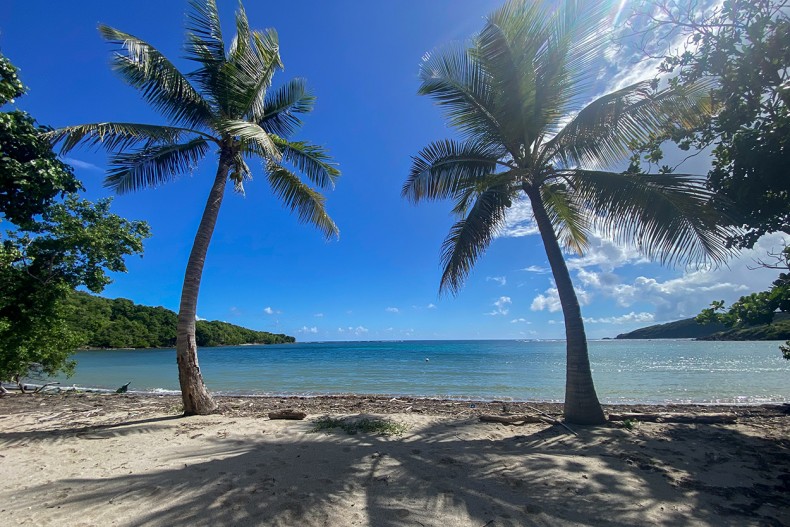 Plage Tartane Cap Nature