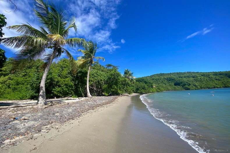 Plage Tartane villa Cap Nature