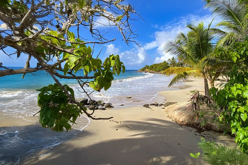 Plage de gros raisin Sainte Luce