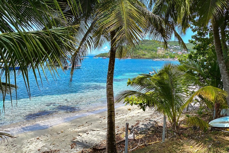 sur la plage de l'anse à l'ane