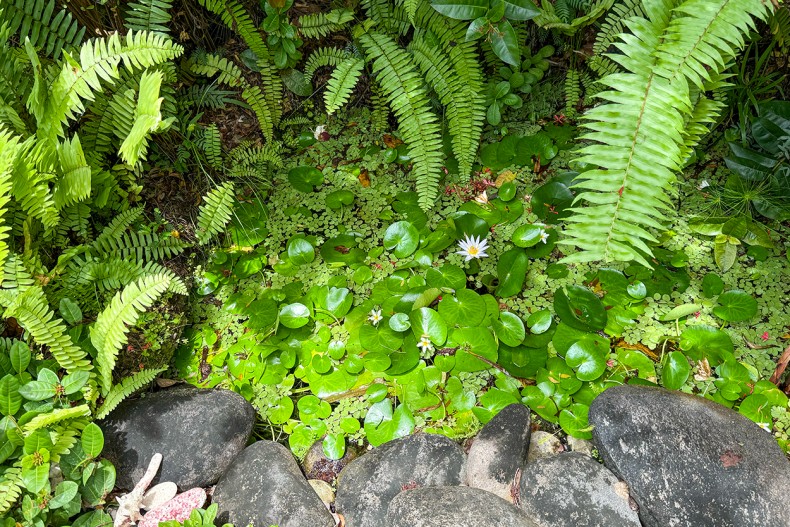 Porte de la caravelle Location Tartane Jardin