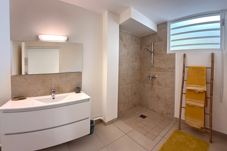 F3 Cocotier Bleu Location le Diamant