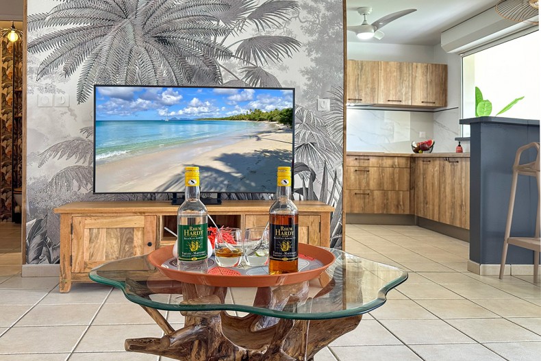 Superbe Appartement T3 le Marin TV