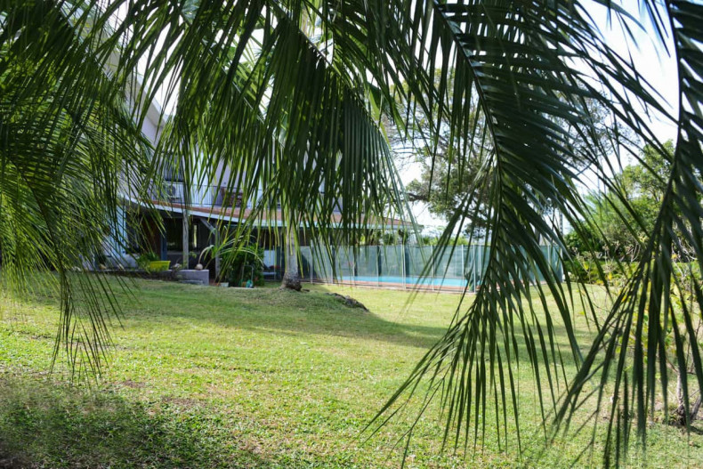 Un environement verdoyant TANTE MAY