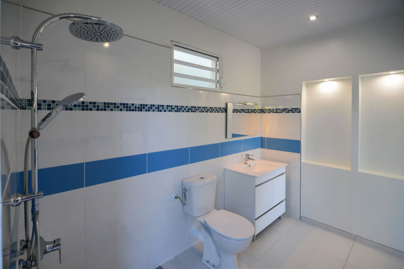 Location villa martinique le carbet