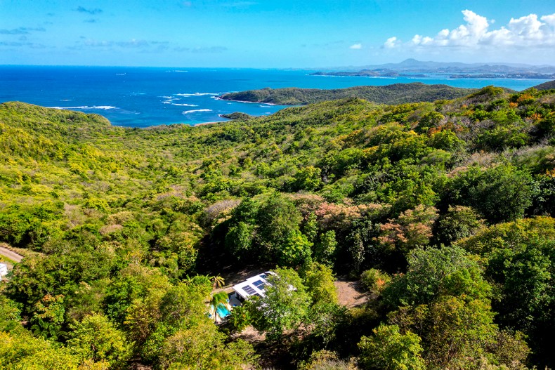 Villa bleu nature Tartane Martinique