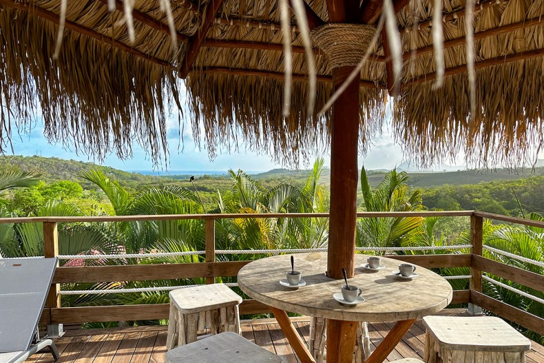 Fleur de Coton jardin