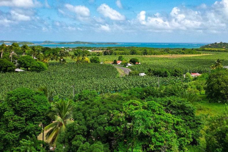 Maison le françois location martinique piscine vue mer