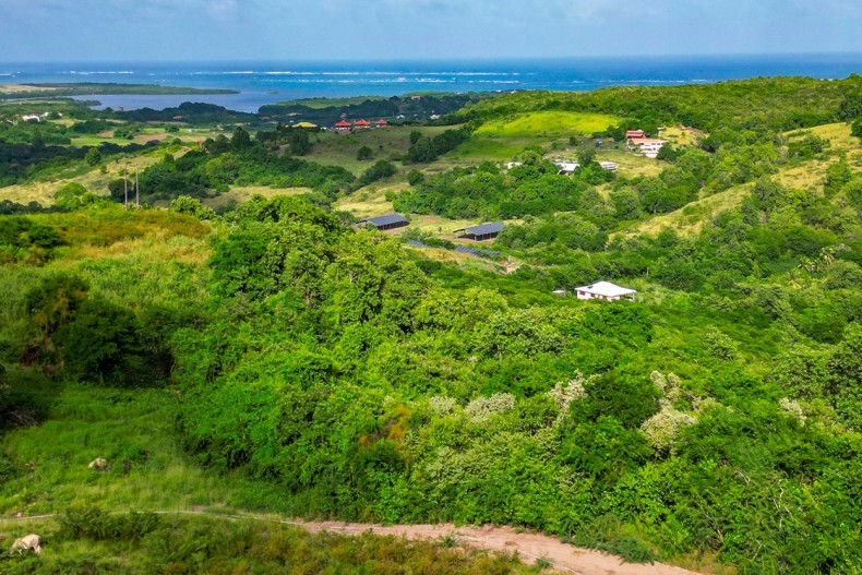 Vue campagne-Sainte-Anne Natalia